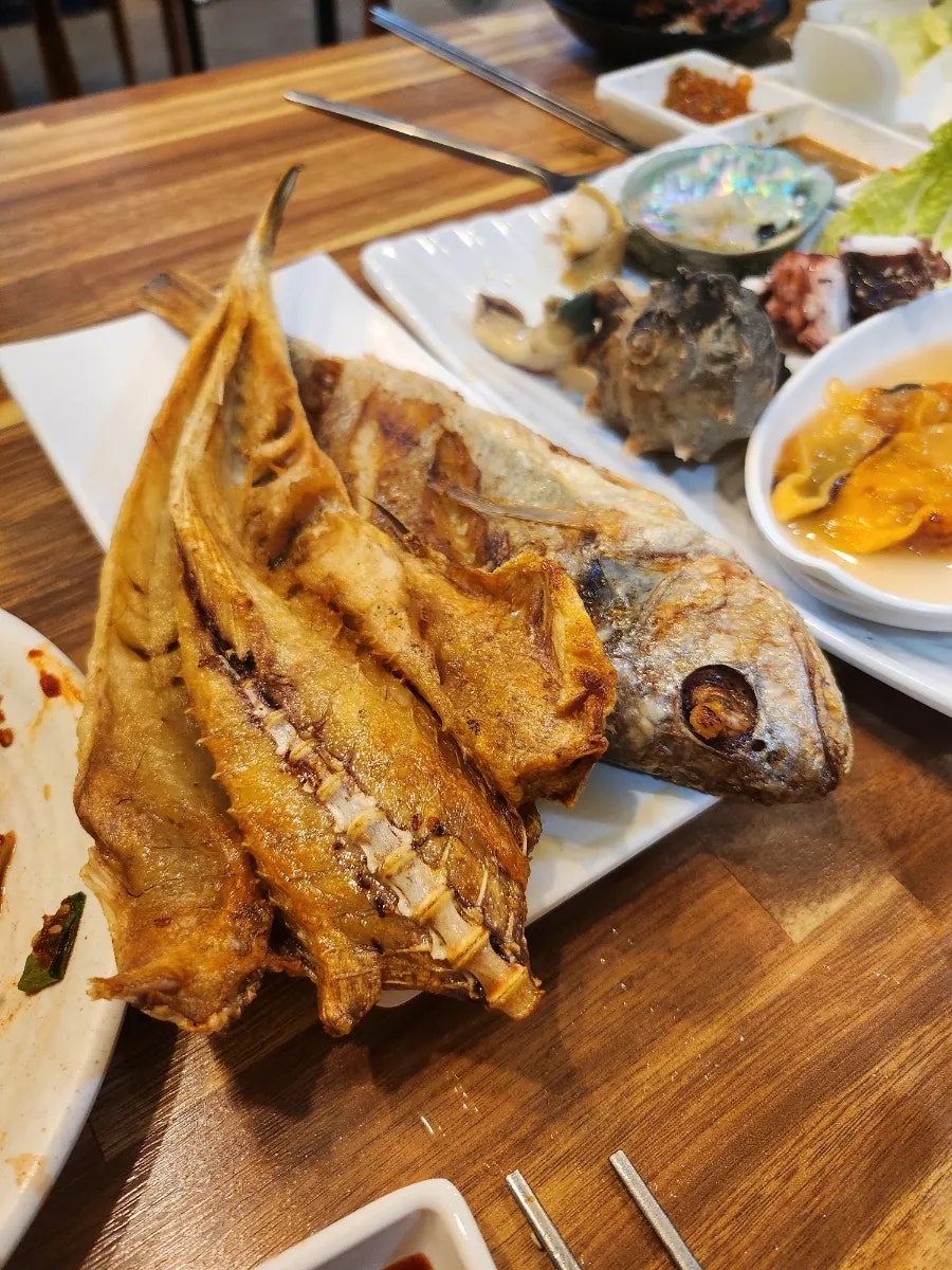 은아카세 사진 6