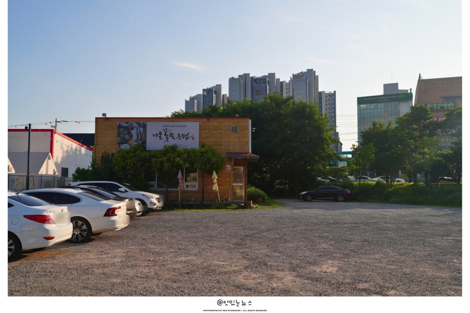 나물 꽃 필무렵 사진 5