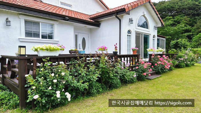 시골 사진 2