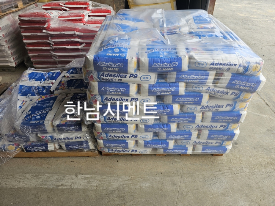 포 사진 2