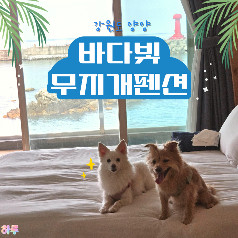 멍비치 근처 양양 애견동반숙소, 남애항 오션뷰 바다빛무지개펜션 301호 후기