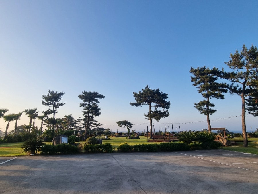 도톰함덕 사진 2