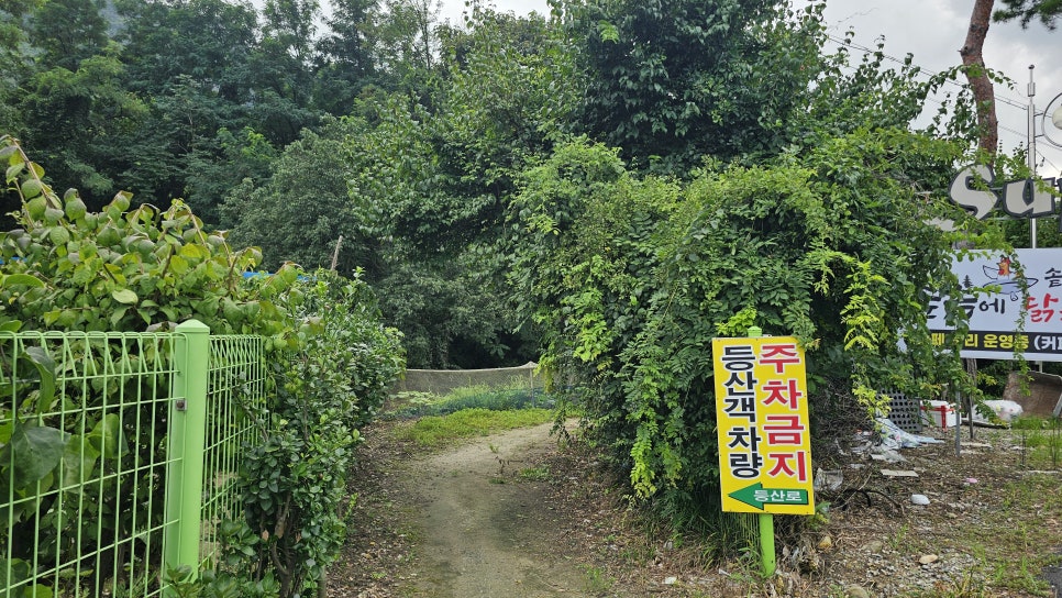 수피아 캠핑체험장 사진 3