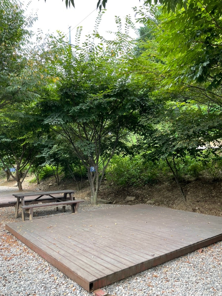 비학농원캠핑장 사진 1