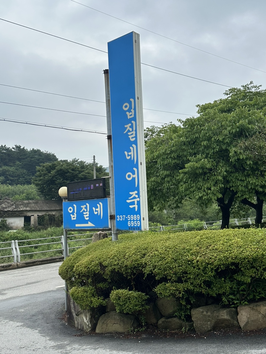 입질네어죽 사진 1