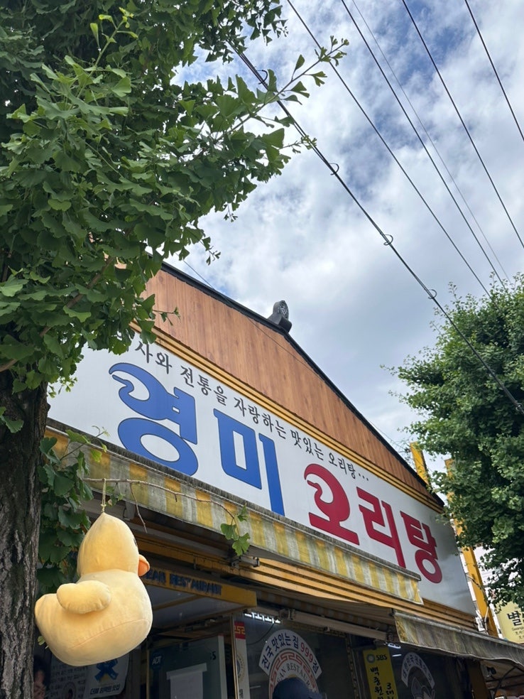 광주 맛집 | 영미오리탕