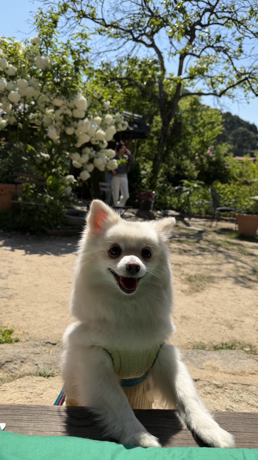 효산리정원 사진 5