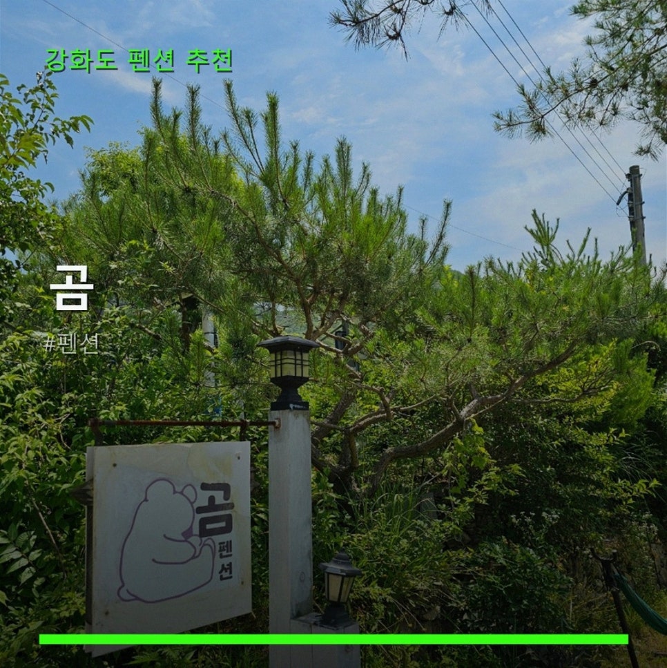 곰펜션 사진 1
