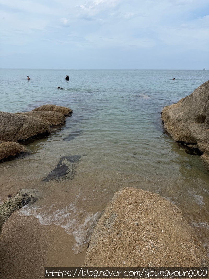 Jangsa-hang Beach, Sokcho: A Snorkeling Hotspot! Free Life Jackets, Shower Facilities, and More Essential Tips