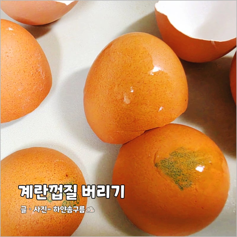 계란 껍질 분리수거 음식물쓰레기 일반쓰레기 구분 버리는법