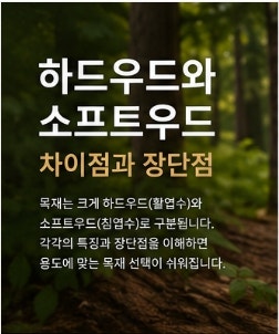 하드우드와 소프트우드 차이점 총정리! 장단점과 원목 선택 가이드