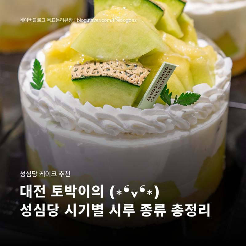 성심당 케이크 추천｜시기별 시루 종류·판매기간·가격 여름메뉴 총정리! 블루베리시루·생....