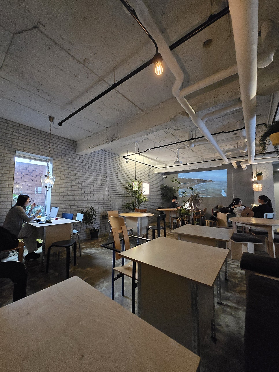 노키 하우스 사진 6
