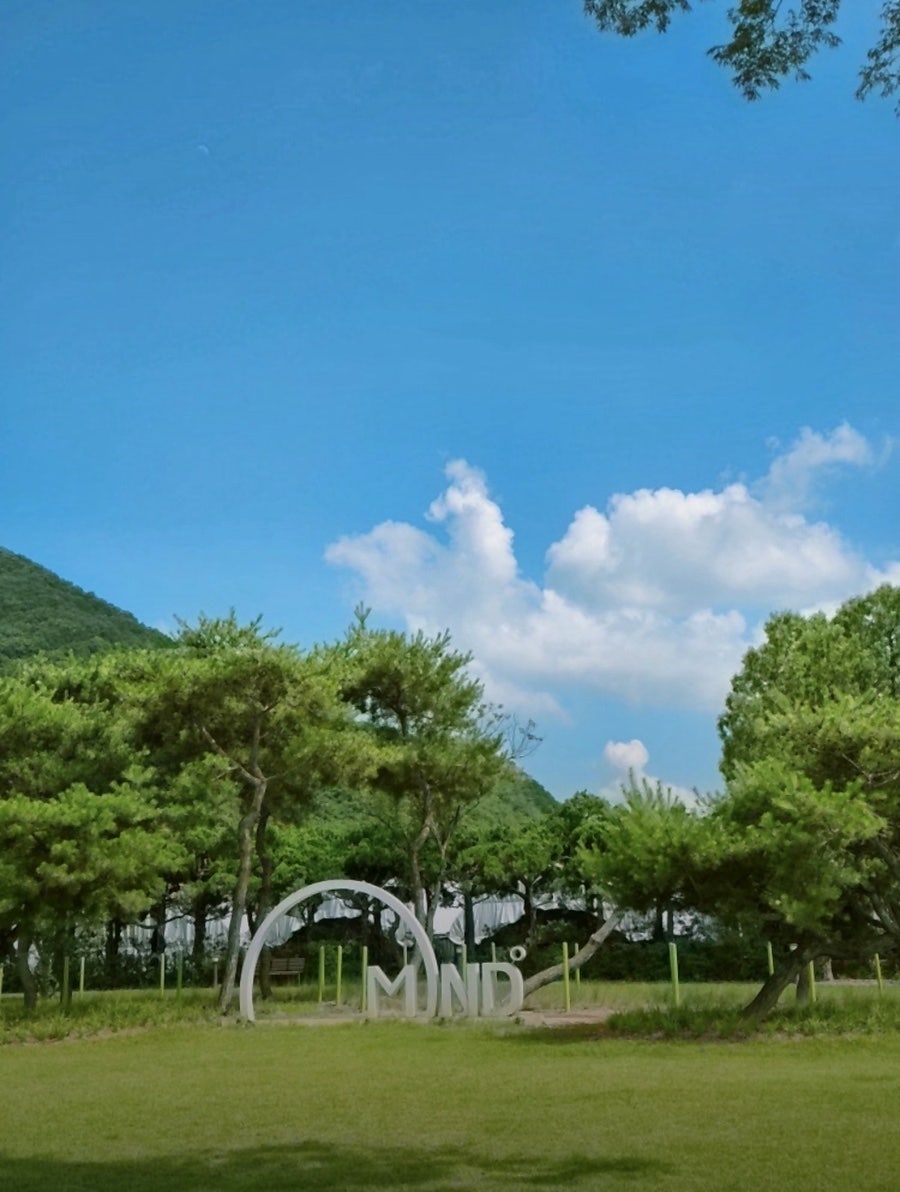 밀의온도 사진 6