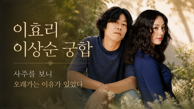 이효리 이상순 궁합｜사주를 보니 오래가는 이유가 있었다
