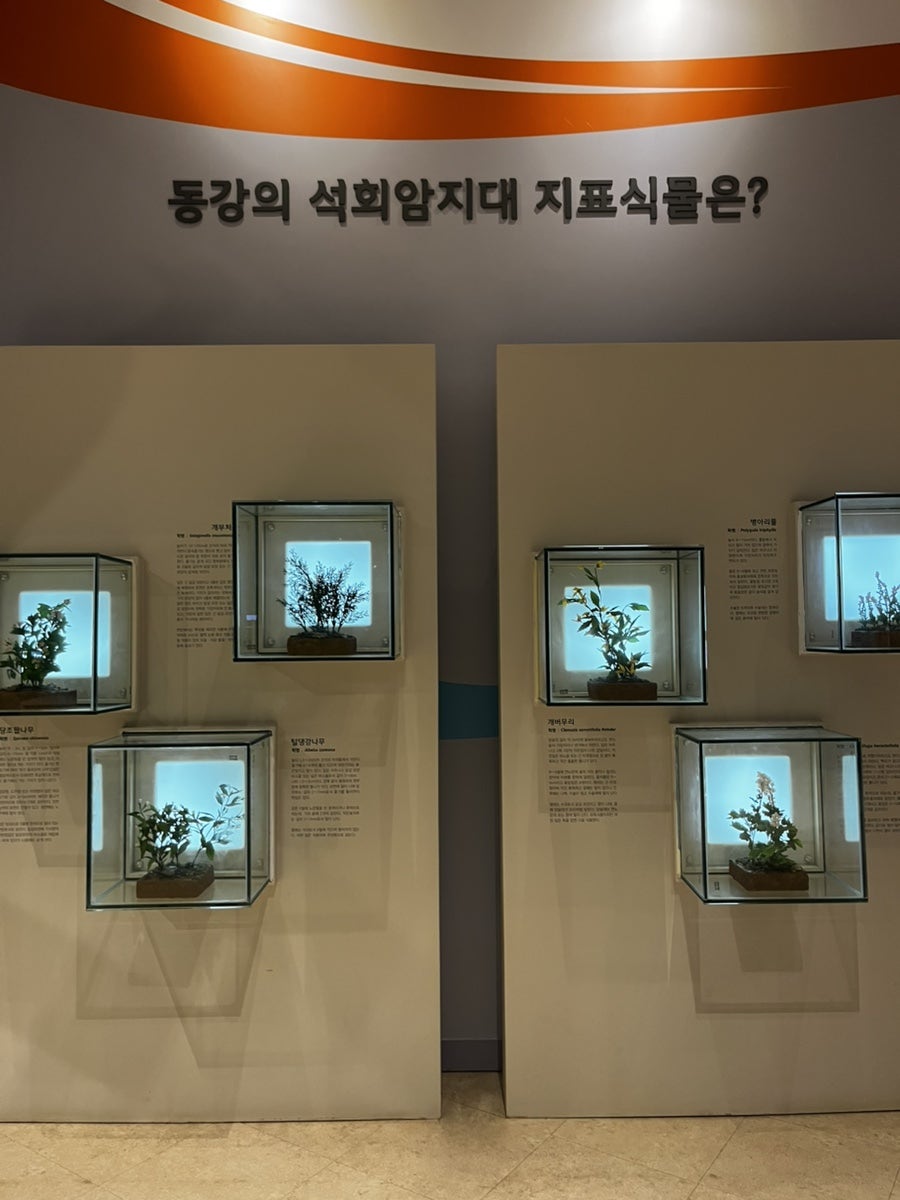 영월곤충박물관 사진 6