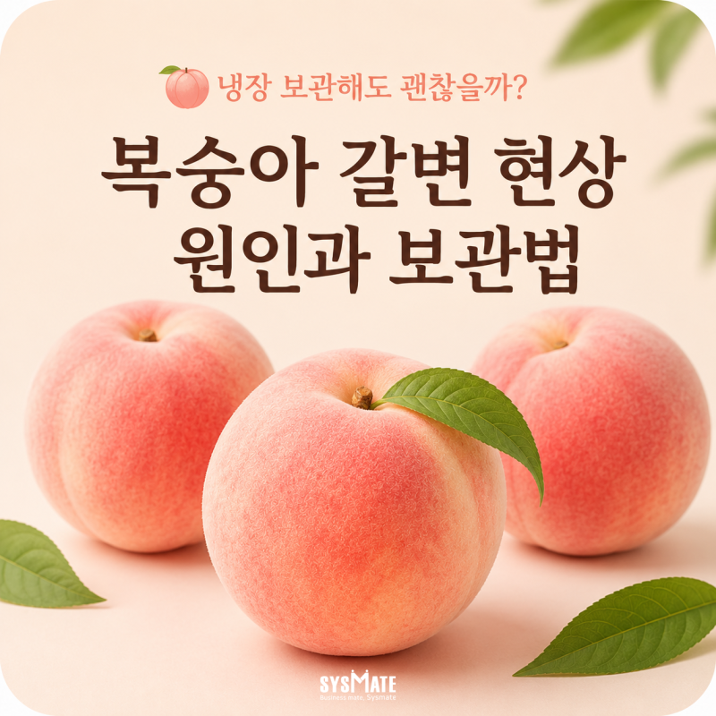 복숭아 냉장보관 속 검은색 반점, 먹어도 될까? 당도를 지키는 보관방법
