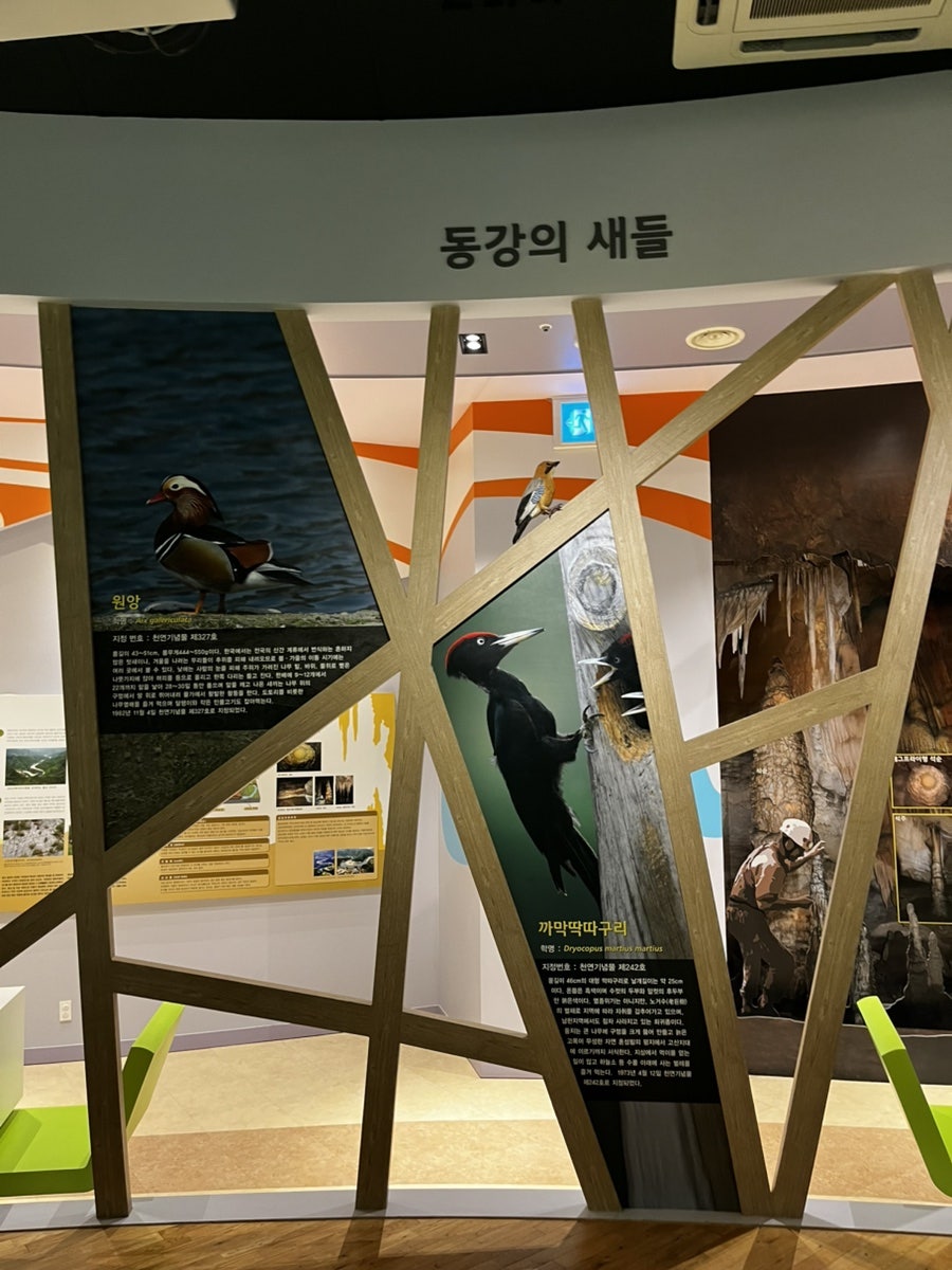 영월곤충박물관 사진 5