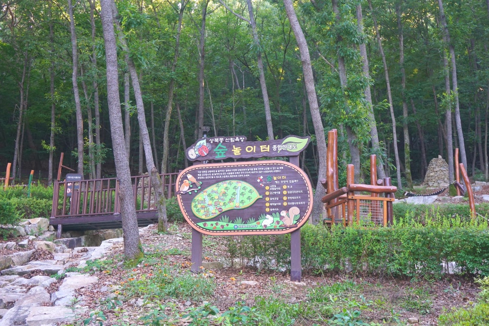 성북동숲속야영장 사진 3