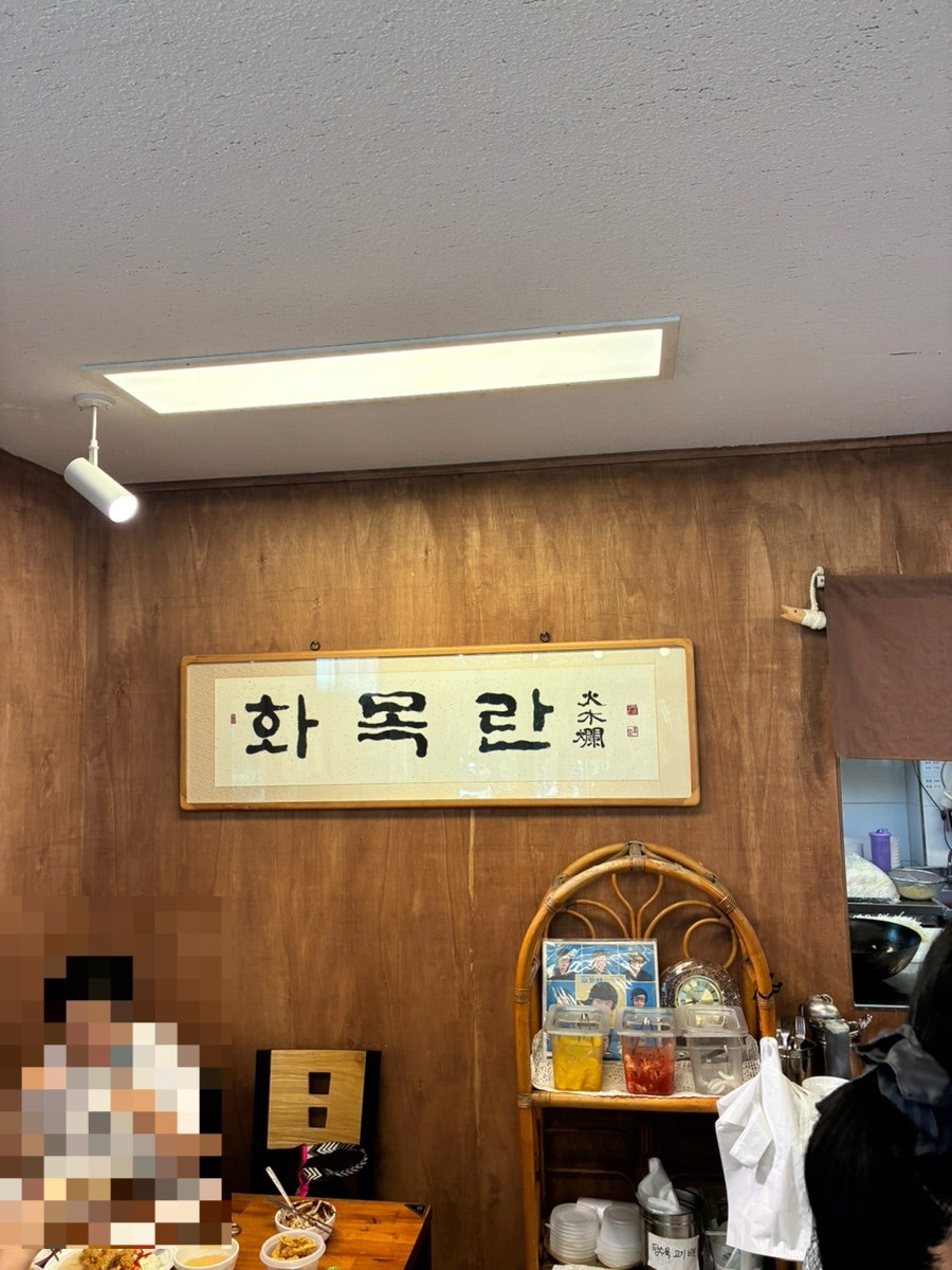 화목란 사진 5