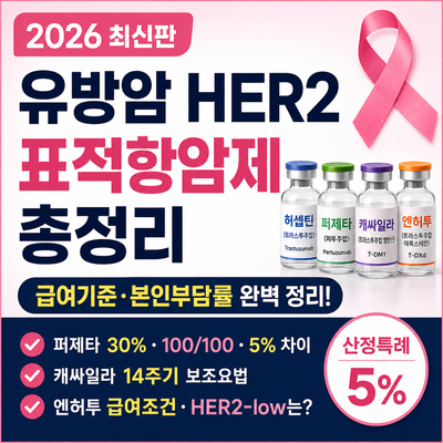 2026 유방암 HER2 표적항암제 총정리｜허셉틴·퍼제타·캐싸일라·엔허투 급여와 본인부담률