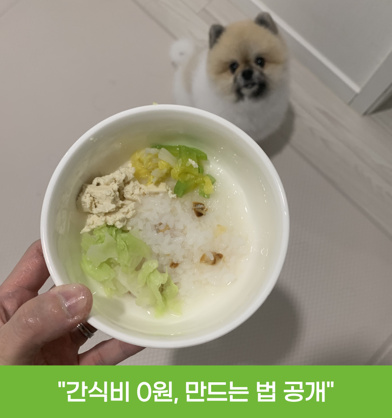 간식비 아끼면서 건강까지, 강아지 야채죽 화식 만드는 법