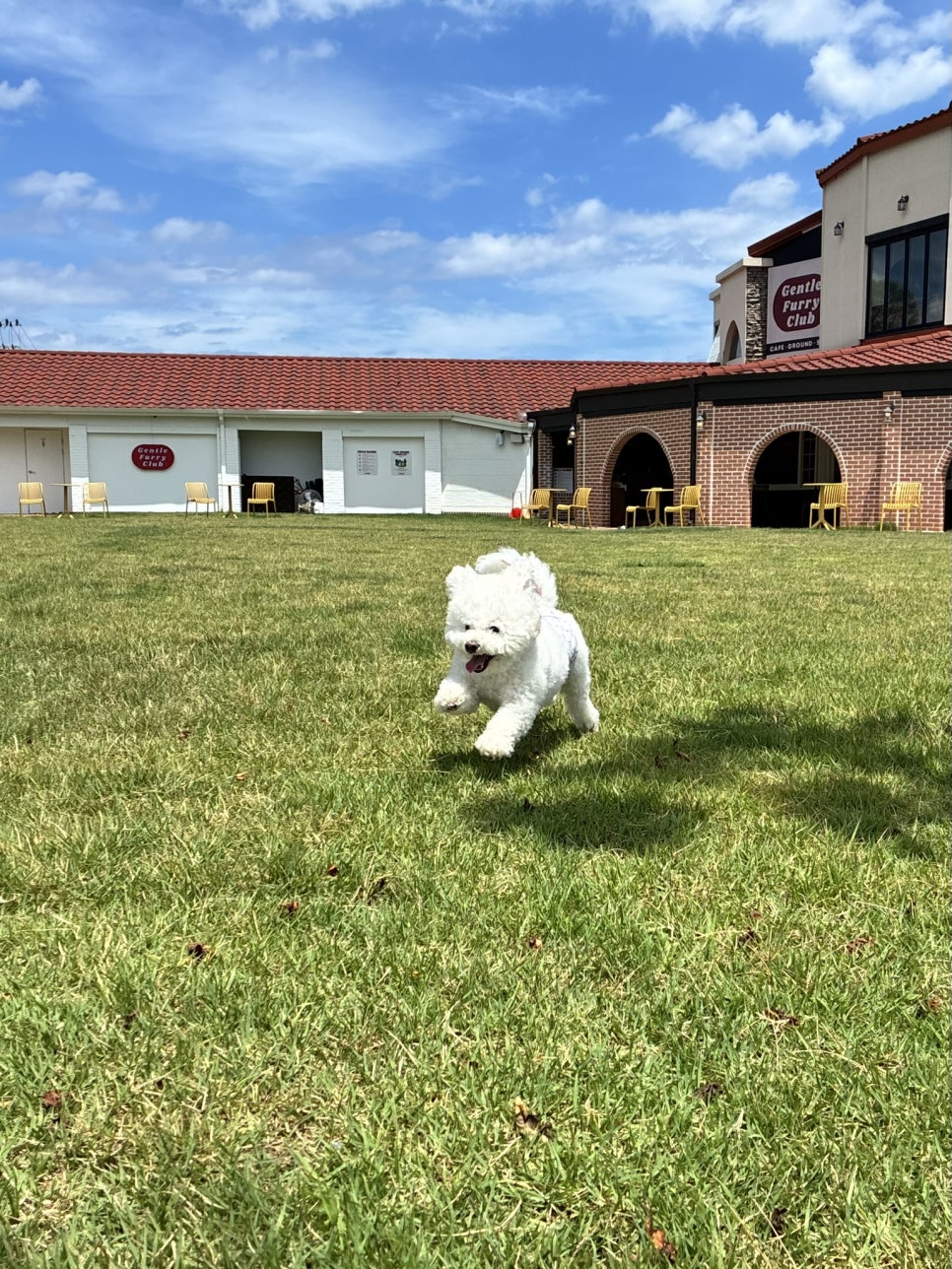젠틀퍼리클럽 사진 3