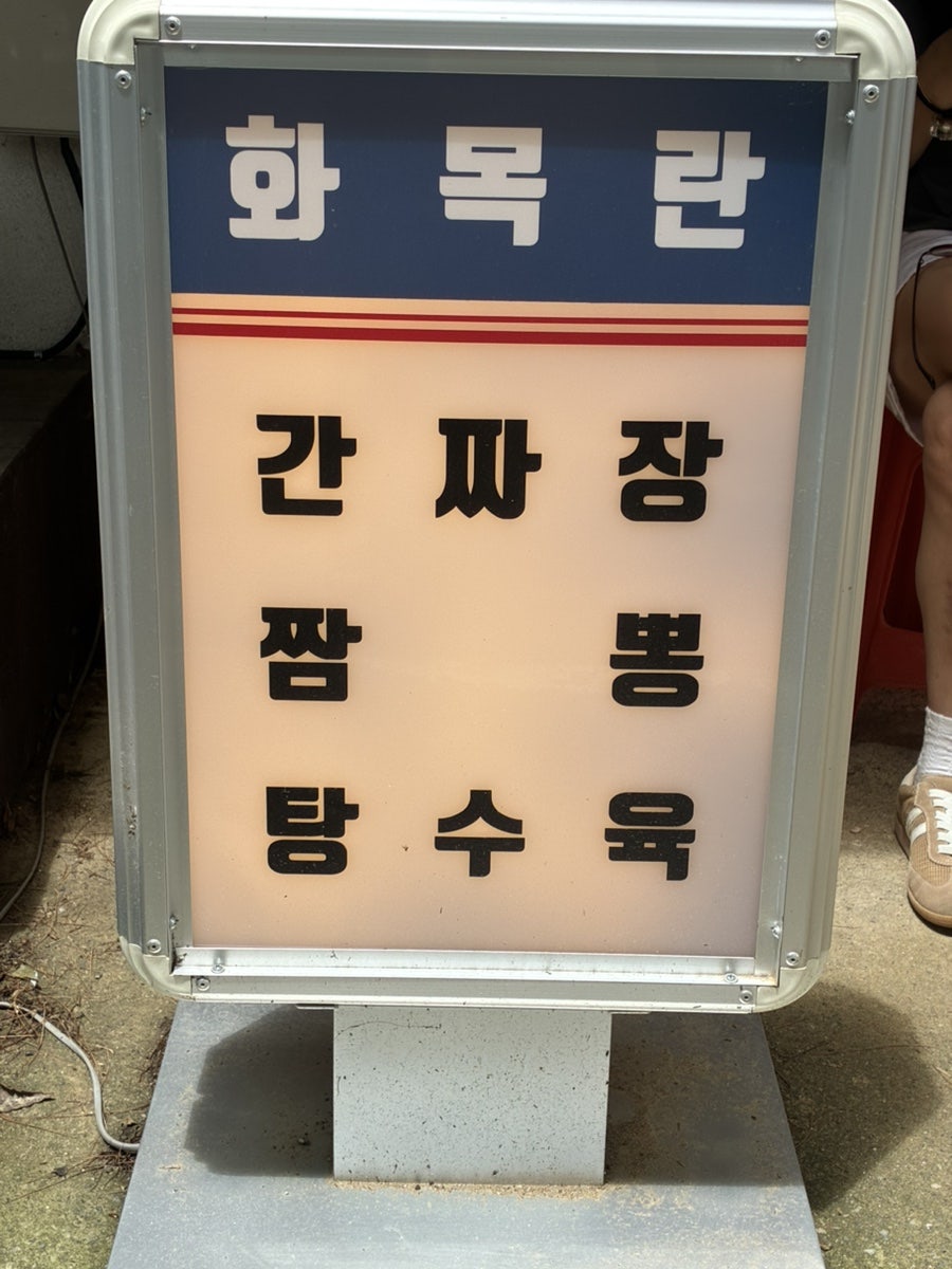 화목란 사진 6