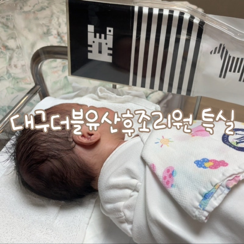 [17. 조리원기록] 대구더블유산후조리원 특실 후기