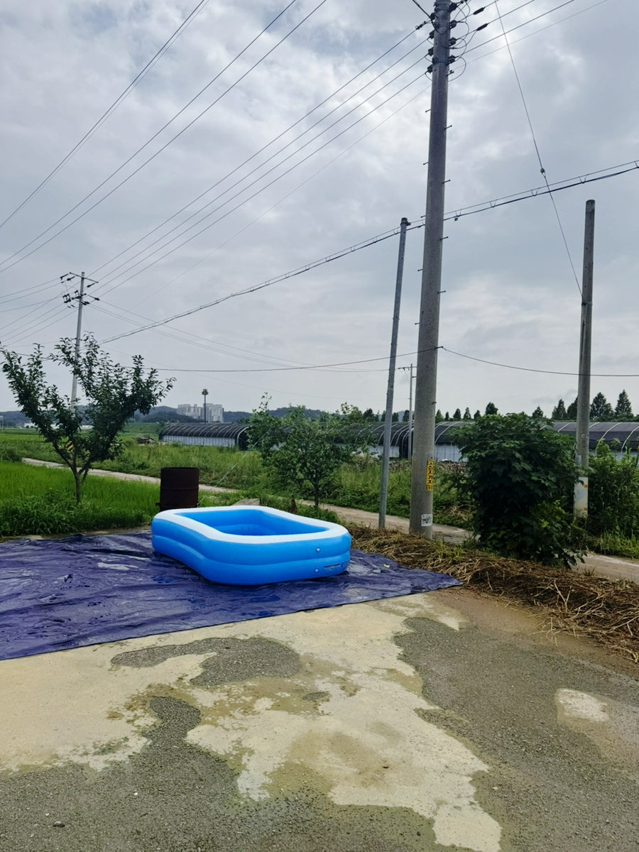 군내어죽 사진 2