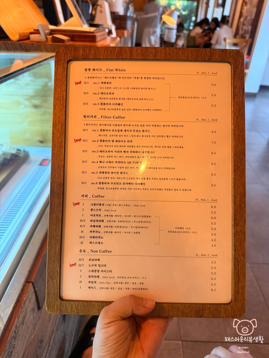 노트릭 사진 3