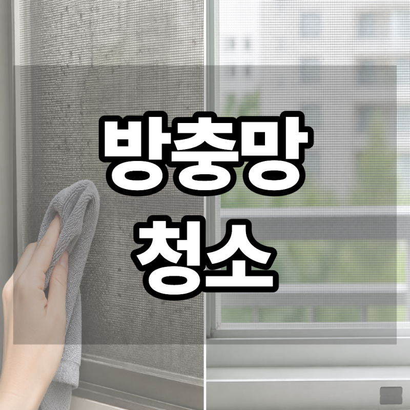 방충망 청소 어떻게 할까? 떼지 않고 검은 먼지 제거하는 방법
