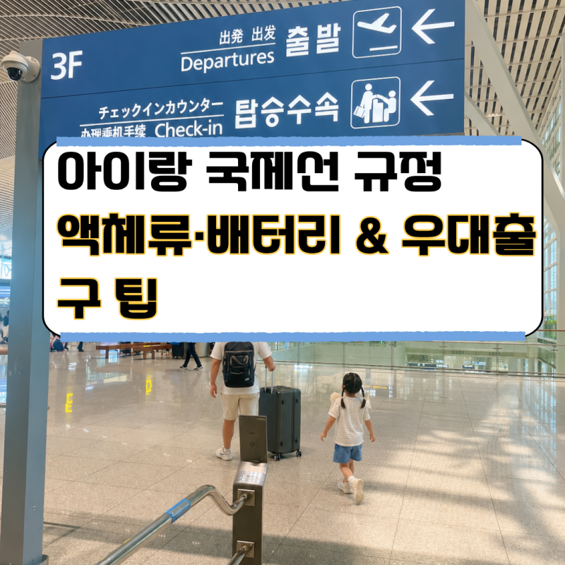 아이랑 해외여행 준비물, 국제선 기내용 캐리어 생수병 액체류 규정 총정리 (feat. 보조배터리....