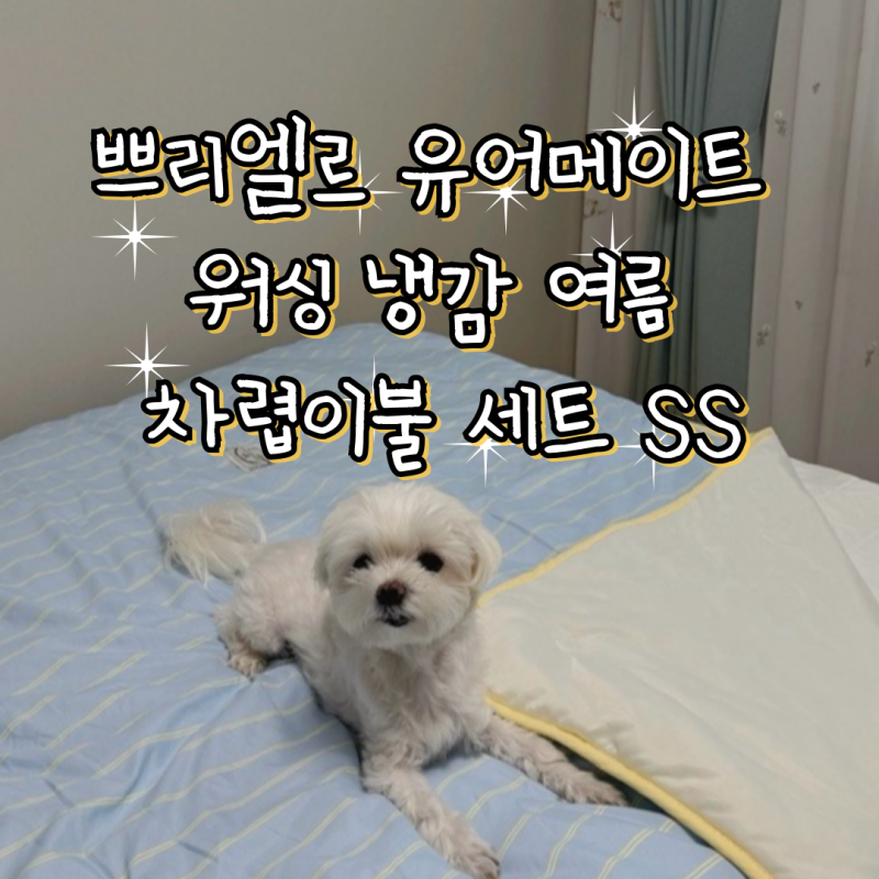 가벼운 이불 쁘리엘르 유어메이트 워싱 냉감 여름 차렵이불 세트 SS 슈퍼싱글 여름이불추천 ....