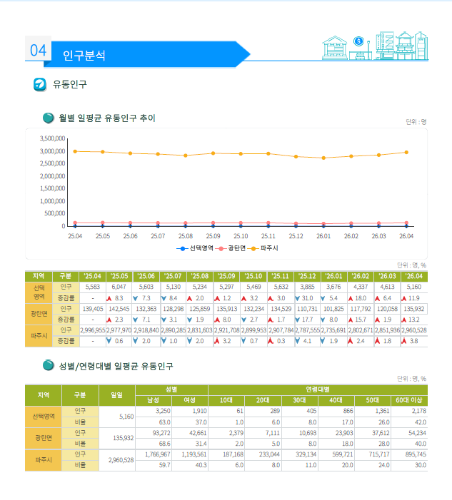 목향 사진 7
