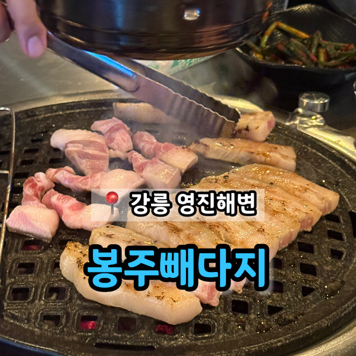 봉주빼다지 사진 1