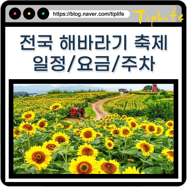 해바라기