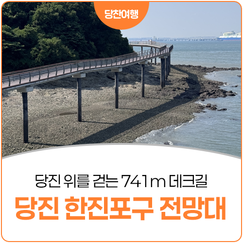 한진포구 전망대 사진 2