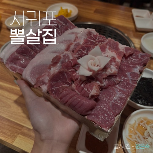 서귀포 뽈살집, 최자가 추천한 제주 서귀포 맛집 직접 가본 후기