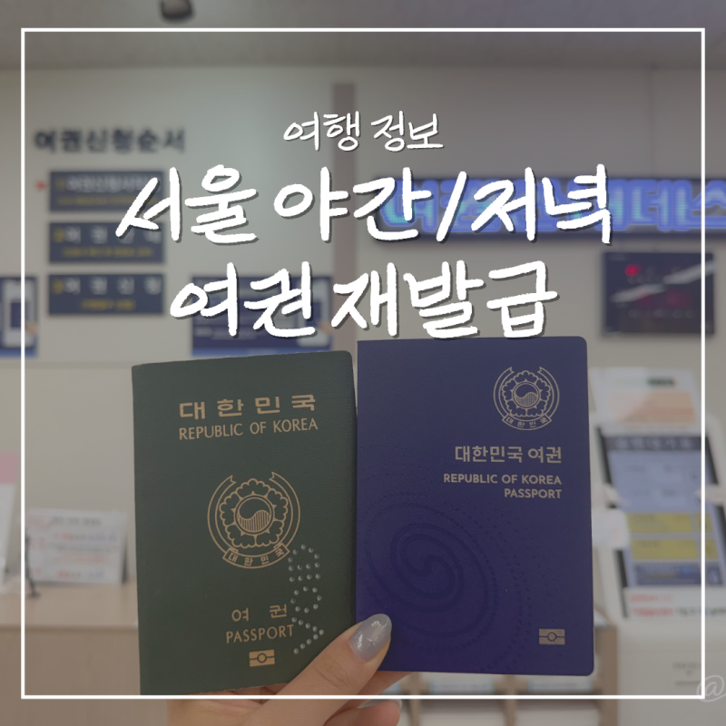 여권 재발급 준비물 총정리 서울 야간 민원실 운영일 강남구청 후기