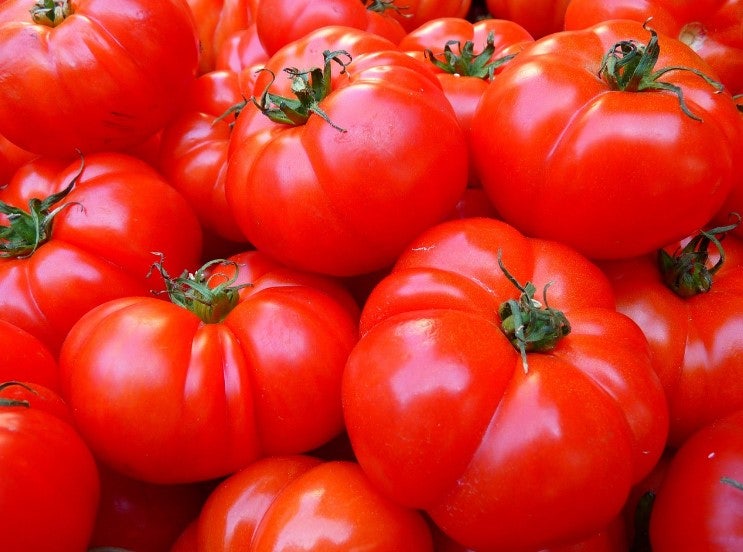 토마토 껍질 효능과 영양, 벗겨 먹으면 손해인 이유와 쉽게 데치는 법