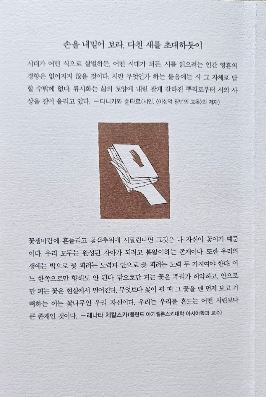 꽃샘바람에 흔들린다면 너는 꽃 사진 6