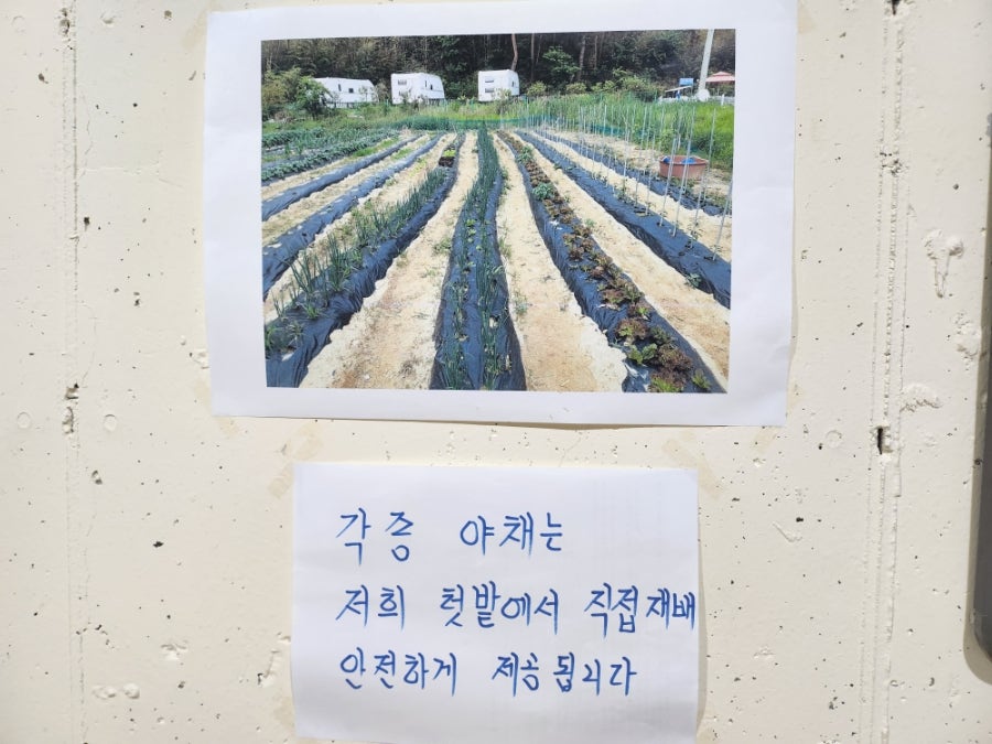 어부지리 사진 3