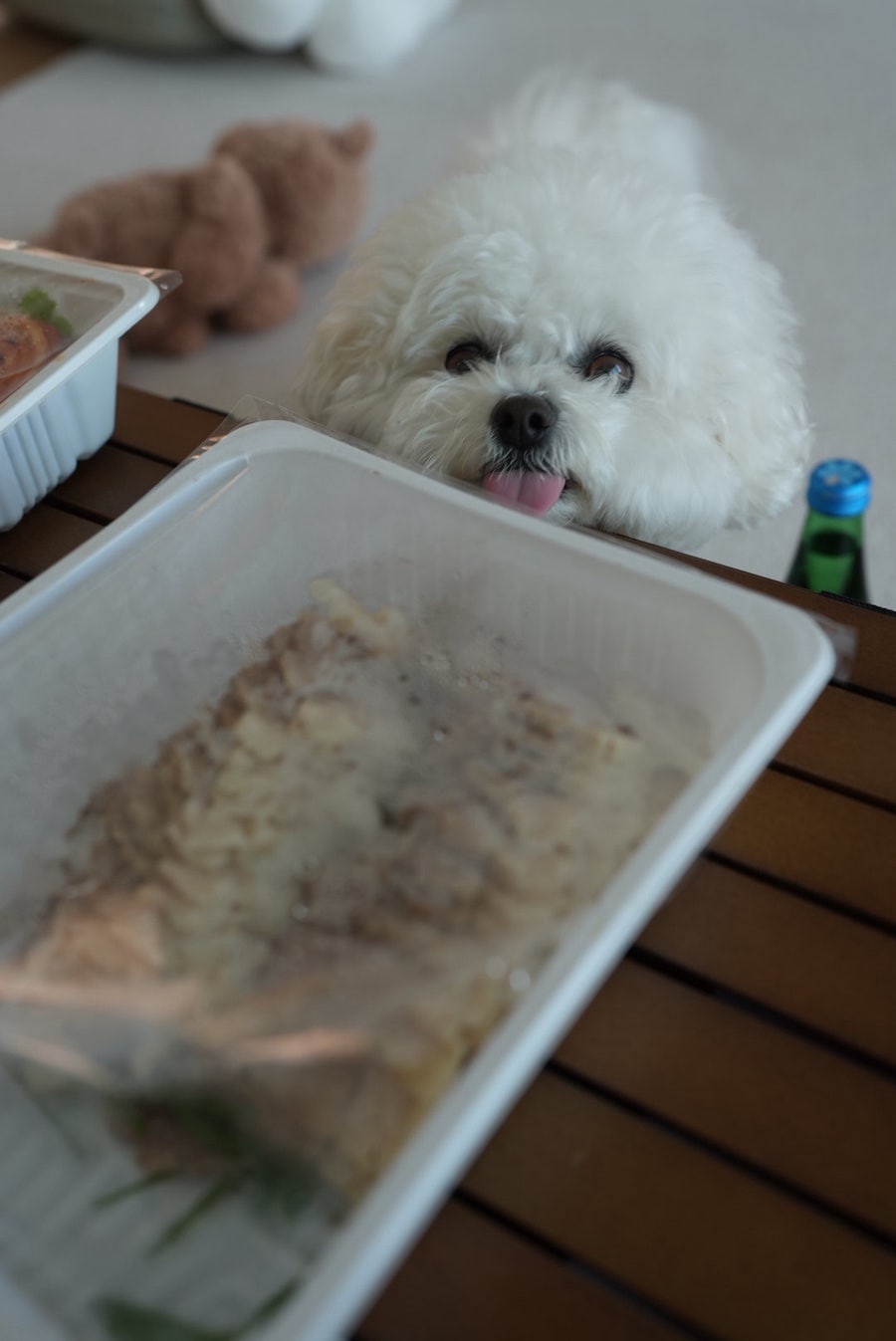 앞발뒷발 양덕본점 사진 2