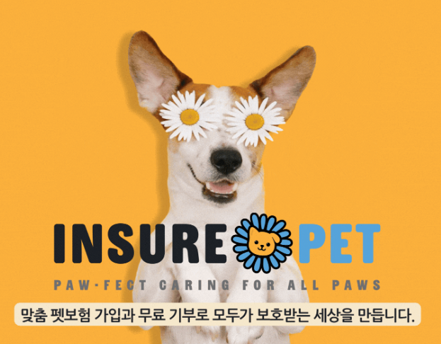 인슈어펫 고양이 집사의 Real 펫보험 비교견적 이용 후기