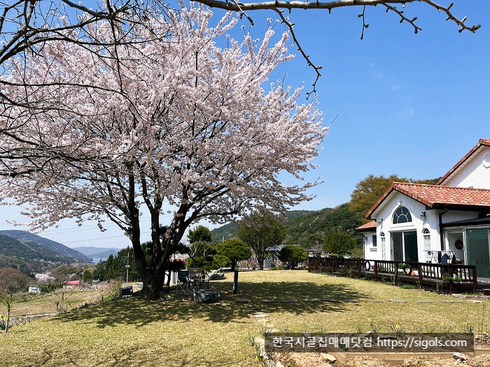 시골 사진 3