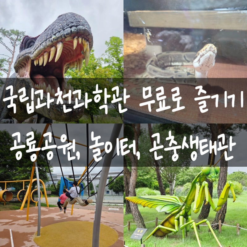 국립과천과학관 무료 관람 코스 공룡공원 놀이터 곤충생태관 야외전시장 총정리