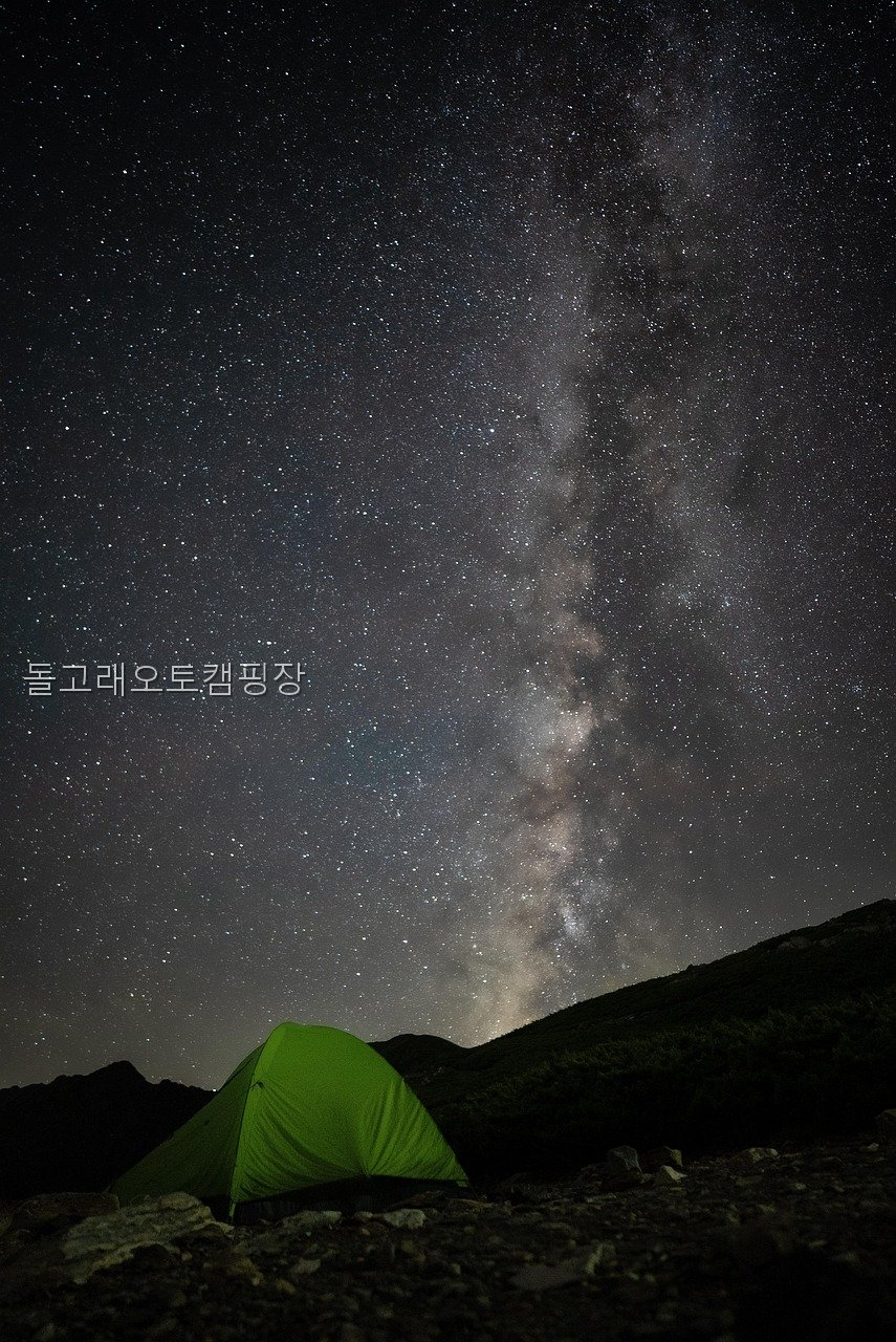 돌고래오토캠핑장 사진 5