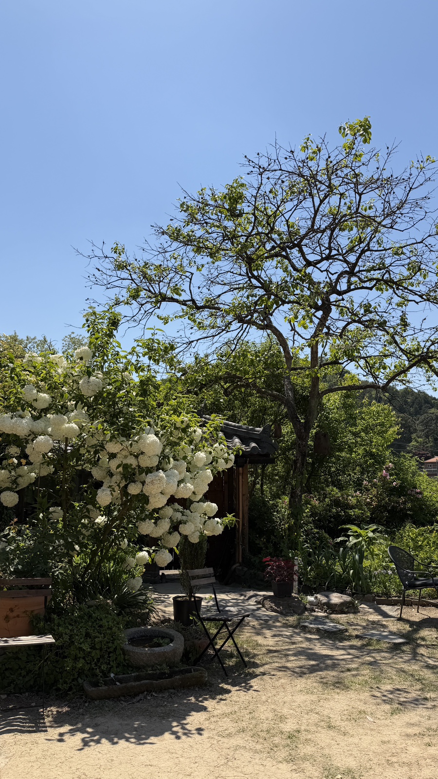 효산리정원 사진 4