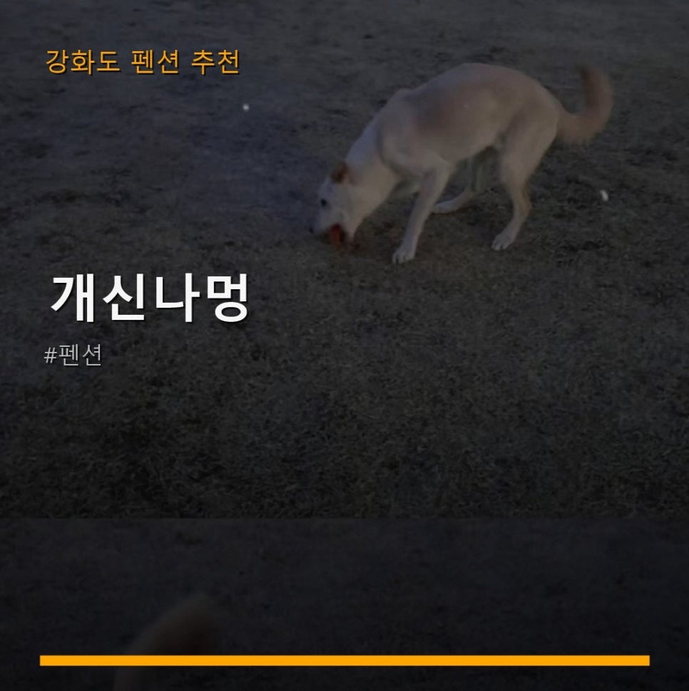 개신나멍 사진